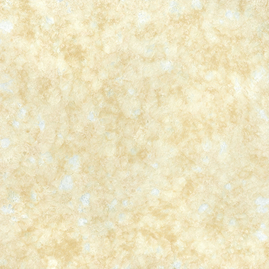 Y4C26