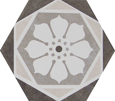 HEX102-IGY2